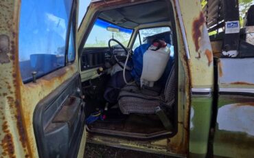 Ford-f-150-1975-green-11