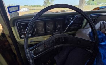 Ford-f-150-1975-green-13