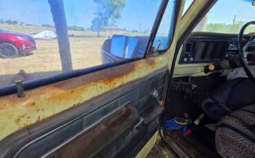 Ford-f-150-1975-green-14