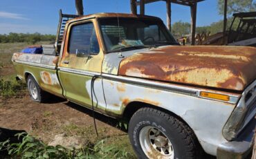Ford-f-150-1975-green-2