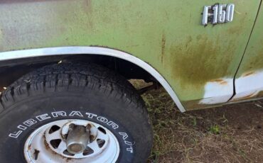 Ford-f-150-1975-green-4
