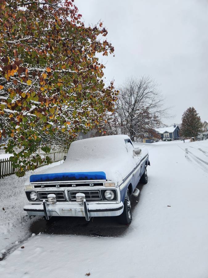 Ford-f-150-1976-blue-5