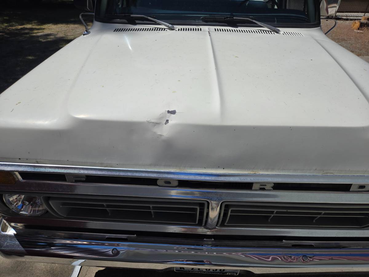 Ford-f-150-1977-white-2