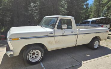 Ford-f-150-1977-white