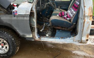 Ford-f-150-1978-blue-1