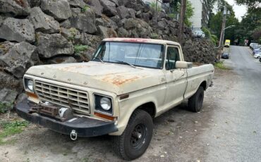 Ford-f-150-1978-custom-2