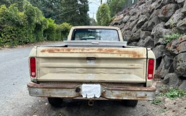 Ford-f-150-1978-custom-4