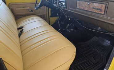 Ford-f-150-1979-yellow-1
