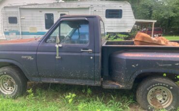 Ford-f-150-1980-blue-2