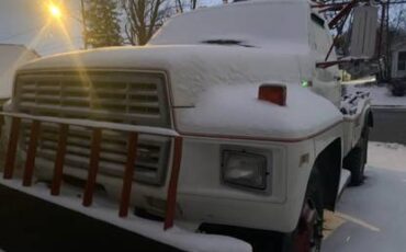 Ford-f-150-1981-2