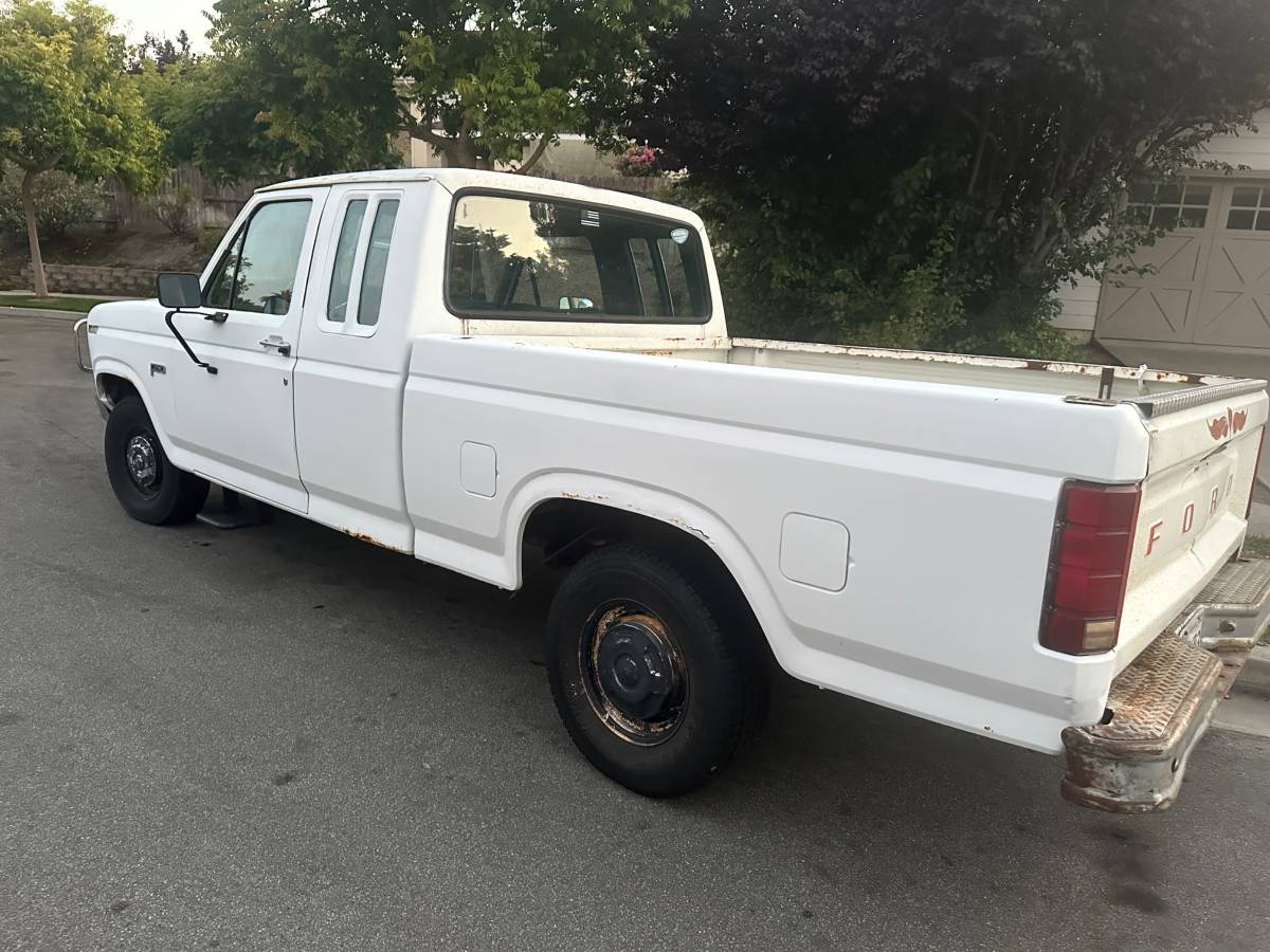 Ford-f-150-1984-white-8
