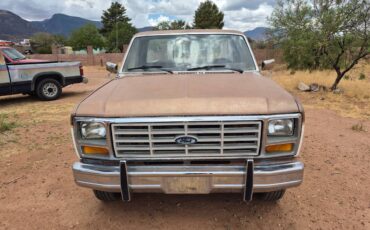 Ford-f-150-1986-brown-2