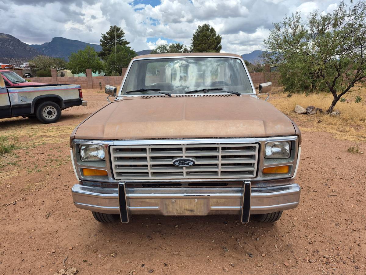 Ford-f-150-1986-brown-2