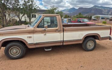 Ford-f-150-1986-brown-3