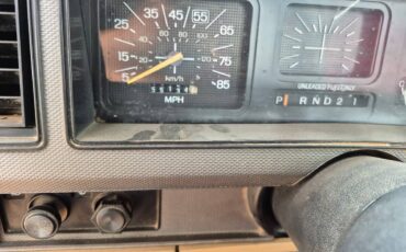 Ford-f-150-1986-brown-4