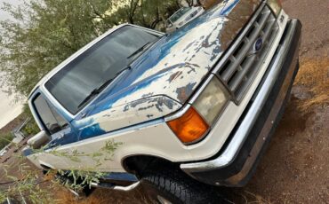 Ford-f-150-1988-blue-1
