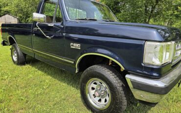 Ford-f-150-1988-blue
