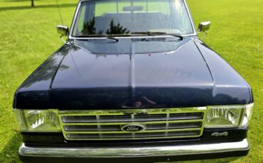Ford-f-150-1988-blue-3