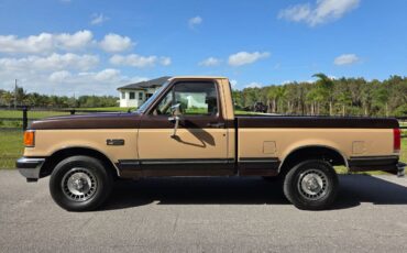 Ford-f-150-1988-brown-1