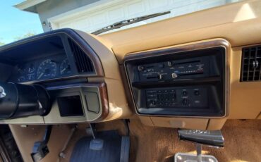 Ford-f-150-1988-brown-12