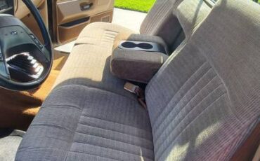 Ford-f-150-1988-brown-13