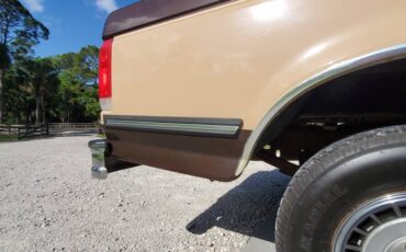 Ford-f-150-1988-brown-17