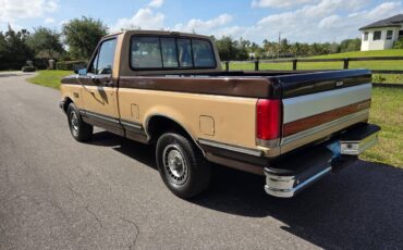 Ford-f-150-1988-brown-2