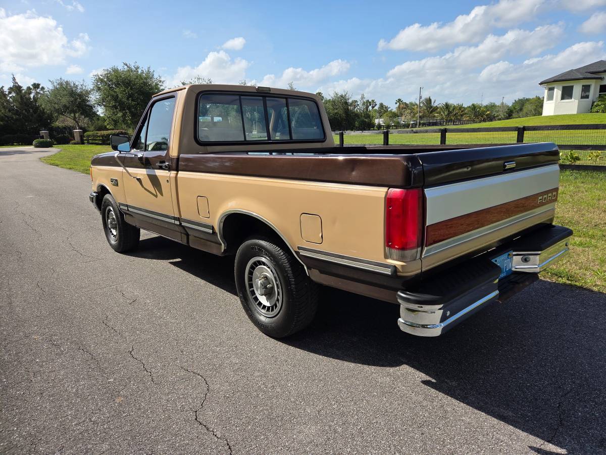 Ford-f-150-1988-brown-2