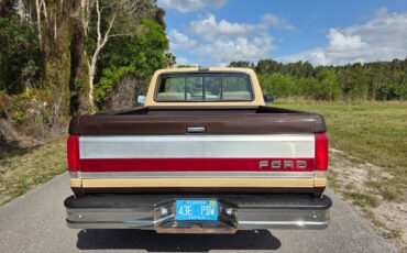 Ford-f-150-1988-brown-3