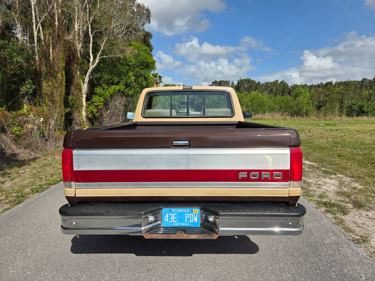 Ford-f-150-1988-brown-3
