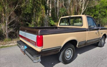 Ford-f-150-1988-brown-4