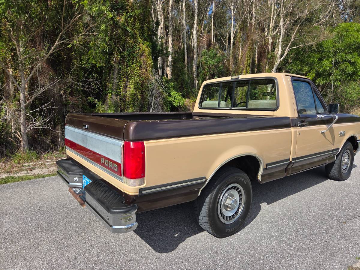 Ford-f-150-1988-brown-4