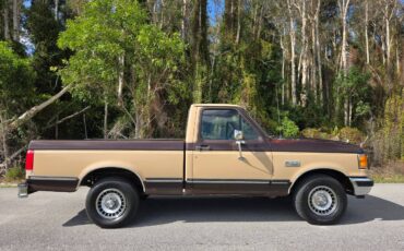 Ford-f-150-1988-brown-5