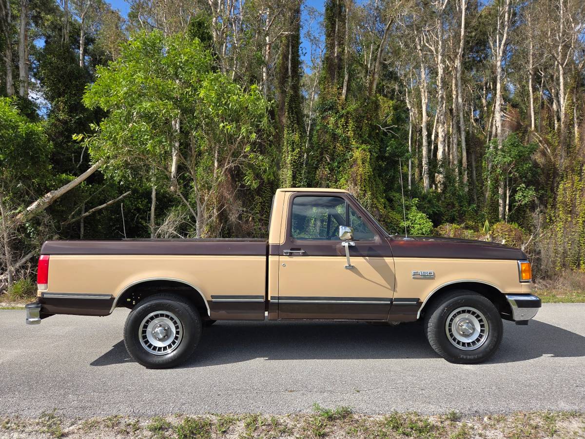 Ford-f-150-1988-brown-5