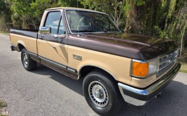 Ford-f-150-1988-brown-6