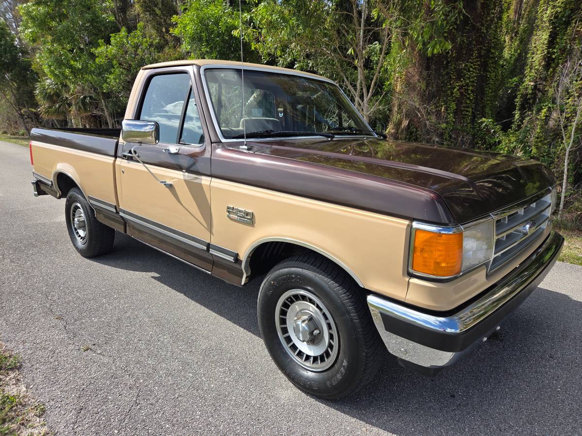 Ford-f-150-1988-brown-6