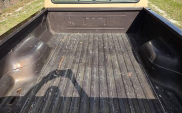 Ford-f-150-1988-brown-7