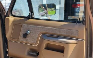 Ford-f-150-1988-brown-9