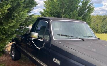 Ford-f-150-1989-blue