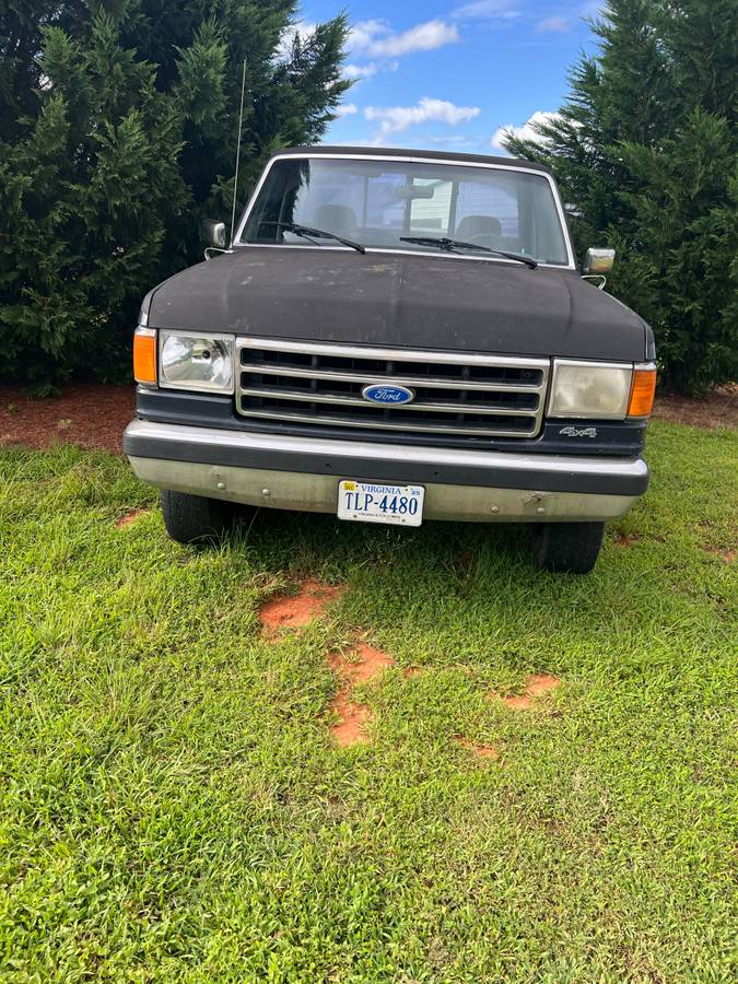 Ford-f-150-1989-blue-6