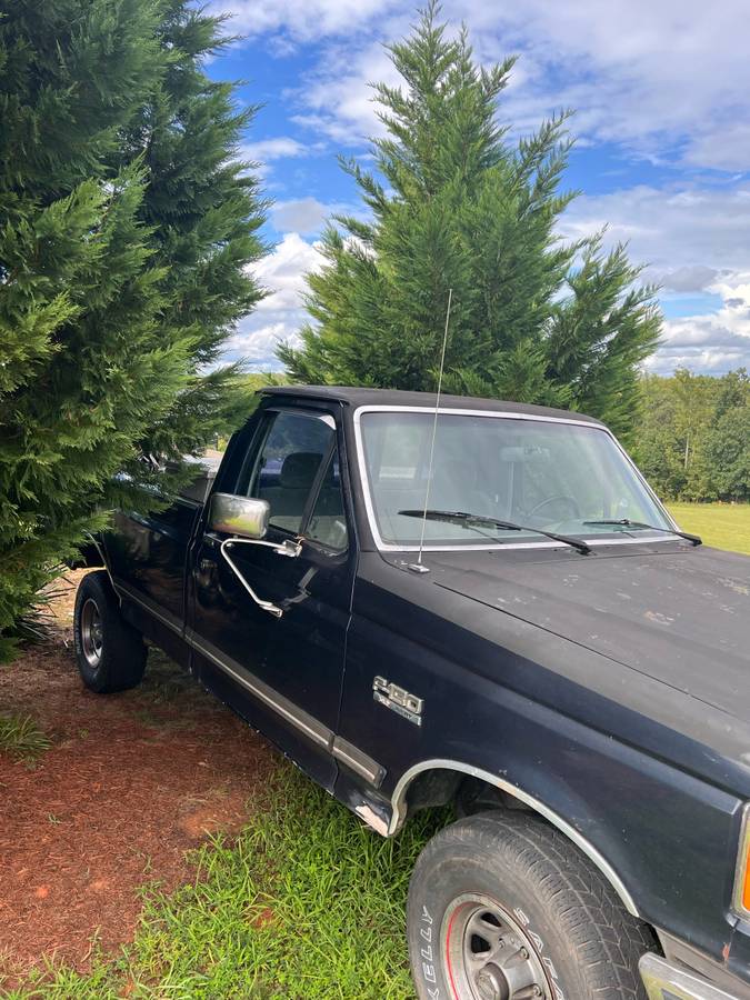 Ford-f-150-1989-blue