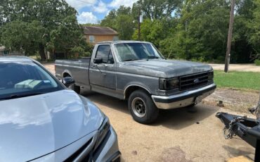 Ford-f-150-1989-grey-13