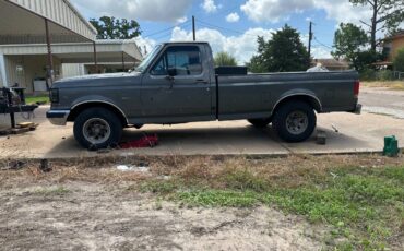 Ford-f-150-1989-grey