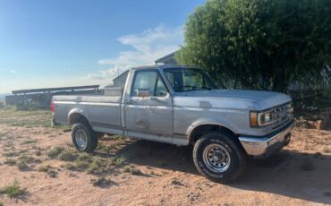 Ford-f-150-1989-silver-1
