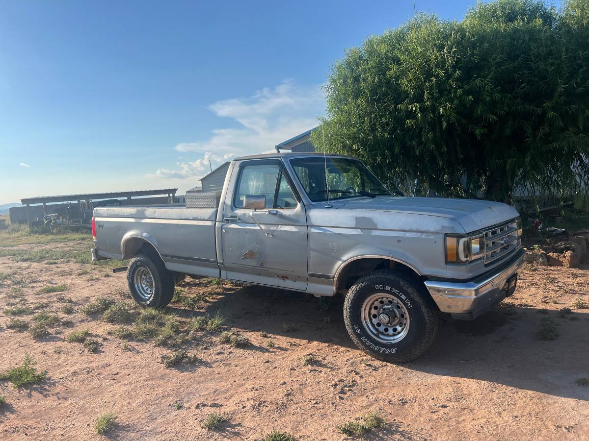 Ford-f-150-1989-silver-1