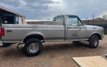 Ford-f-150-1989-silver-1
