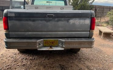 Ford-f-150-1989-silver-2