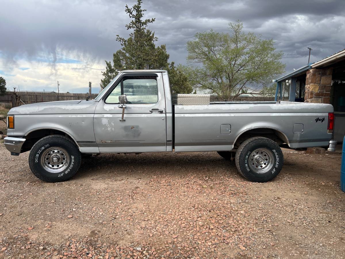 Ford-f-150-1989-silver-3