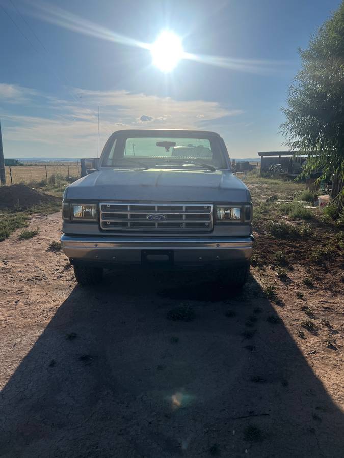 Ford-f-150-1989-silver-4