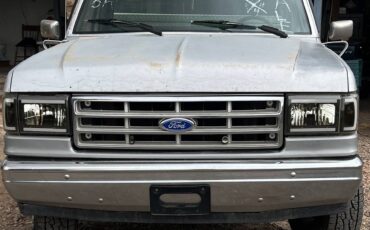 Ford-f-150-1989-silver-4